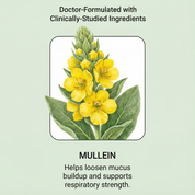 BetterLungs® Mullein Gummies