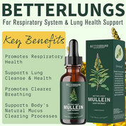 BetterLungs Mullein Leaf Extract bottle and box with key benefits: Promotes Respiratory Health, Supports Lung Cleanse &Health, Promotes Clearer Breathing, Supports Body's Natural Mucus Clearing Processes