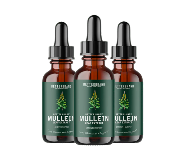 Front view of three BetterLungs Mullein and Chlorophyll tincture bottles with droppers and green labels on white background