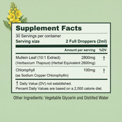 BetterLungs® Mullein + Chlorophyll