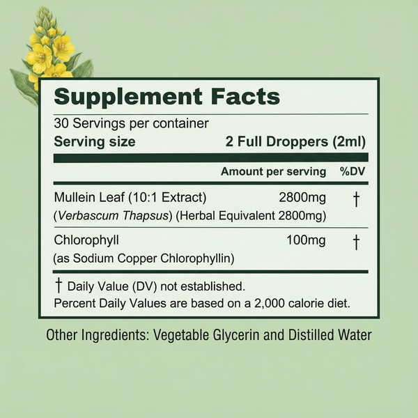 BetterLungs® Mullein + Chlorophyll