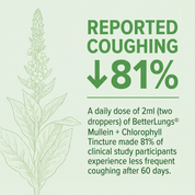 BetterLungs® Mullein + Chlorophyll