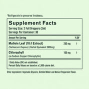 BetterLungs® Mullein + Chlorophyll Tincture (Mint Flavor)