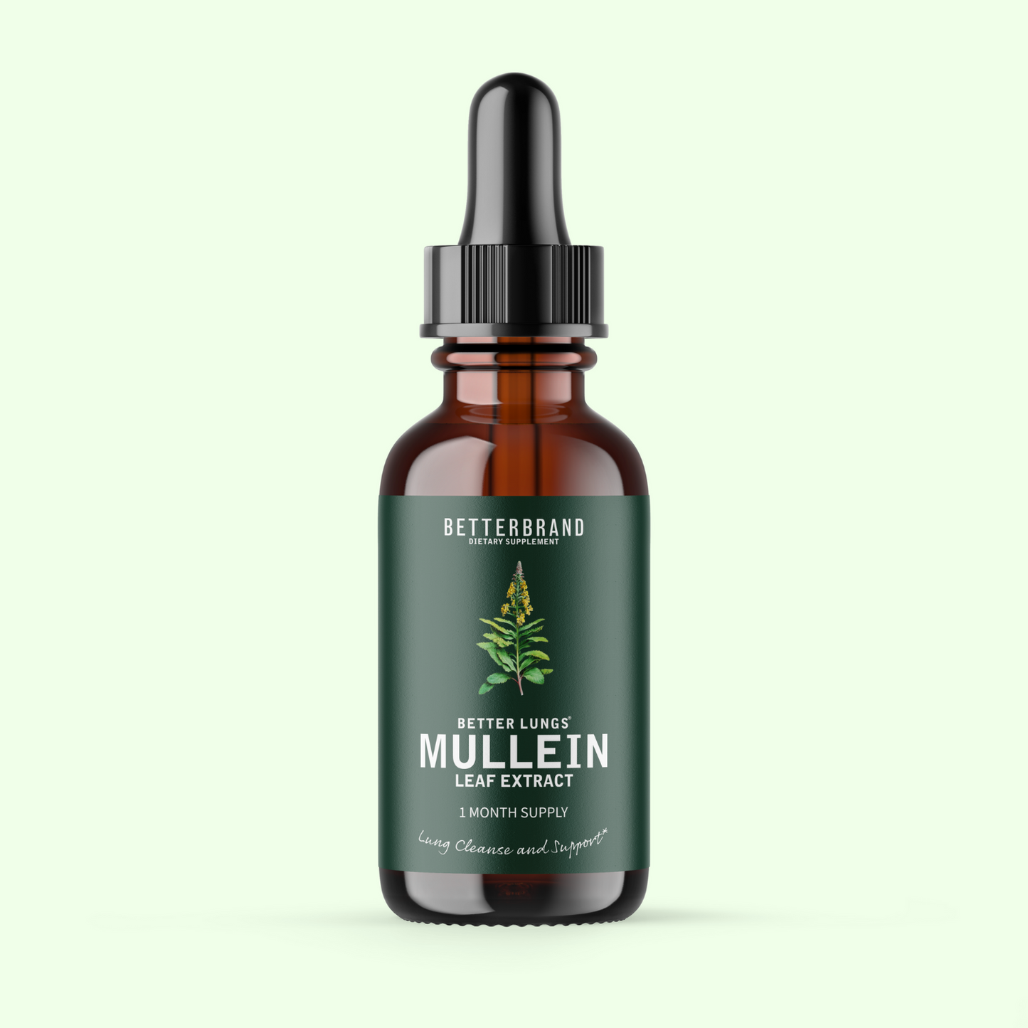 Mullein Leaf Extract - Betterbrand