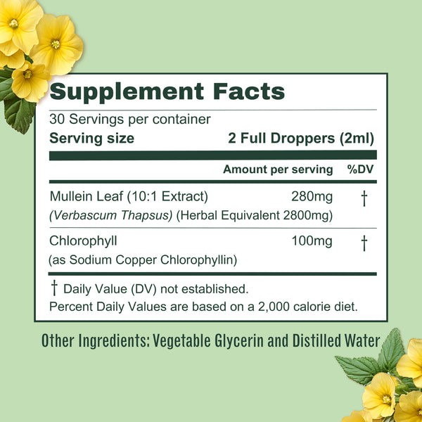 Supplement Facts: 30 servings, serving size 2 full droppers (2ml), Mullein Leaf 280mg, Chlorophyll 100mg, other ingredients vegetable glycerin and distilled water.