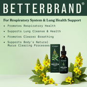BetterLungs Mullein + Chlorophyll bottle and box with yellow mullein flowers, promoting respiratory health