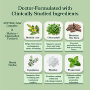Lung Detox Protocol