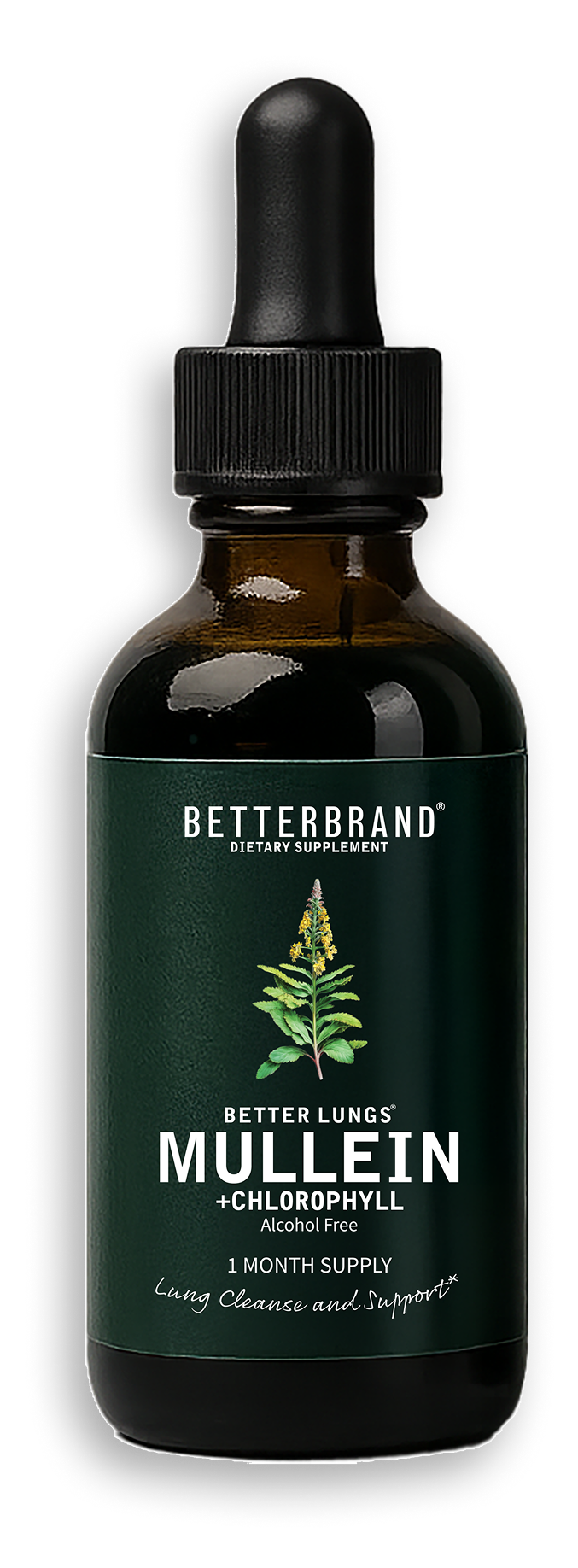 Bottle of BetterBrand dietary supplement labeled 'Better Lungs Mullein + Chlorophyll, Alcohol Free, 1 Month Supply, Lung Cleanse and Support' with a plant illustration.