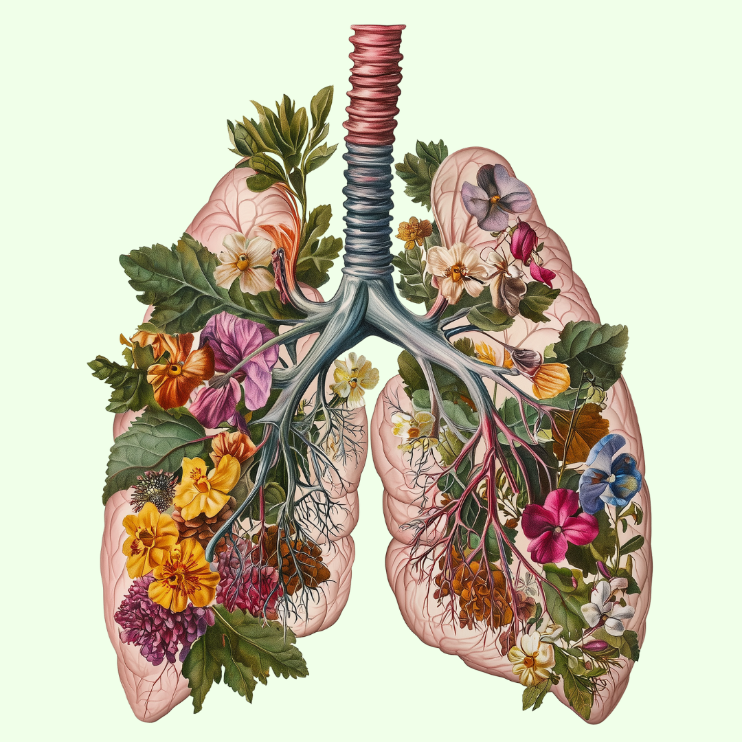 Anatomical lungs illustration filled with colorful flowers and leaves symbolizing lung detox and natural healing