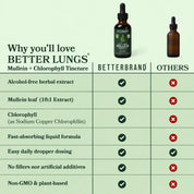 BetterLungs® Mullein + Chlorophyll Tincture (Mint Flavor)
