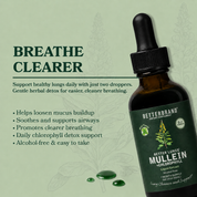 BetterLungs® Mullein + Chlorophyll Tincture (Mint Flavor)