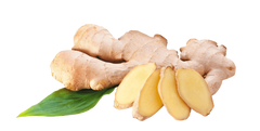 Ginger
