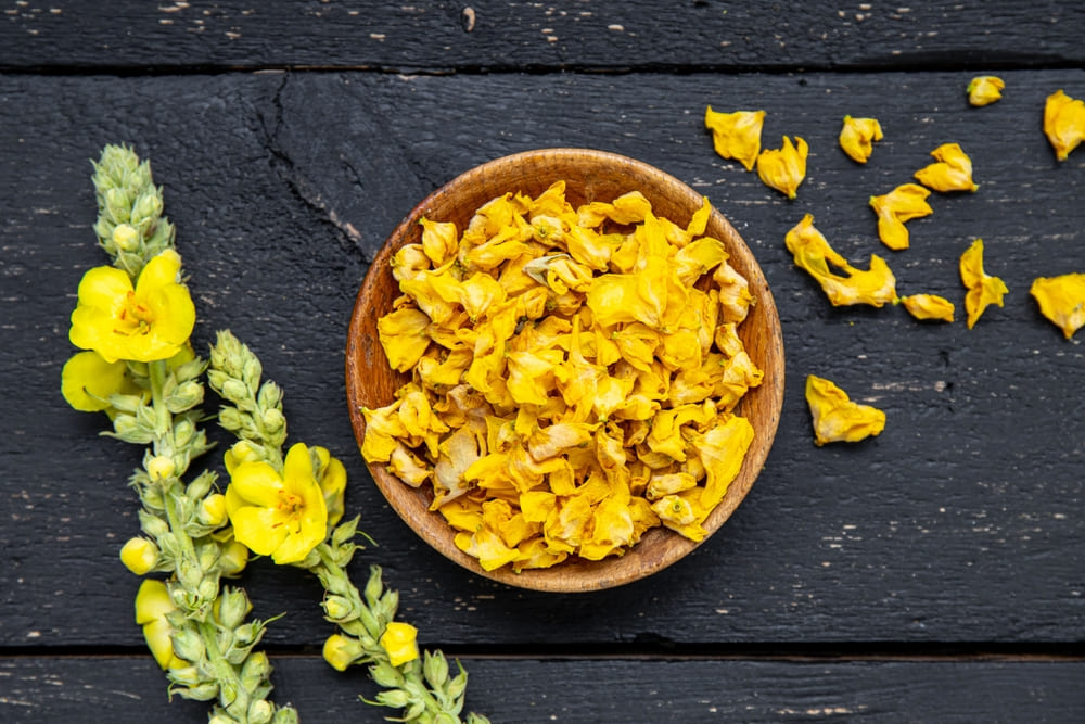Fresh mullein flowers and dried mullein petals in a wooden bowl on a dark wooden surface