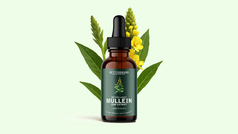 Mullein Tincture Benefits: A Natural Remedy for Your Lungs