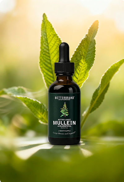 How to Use Betterbrand's Tinctures for Best Results