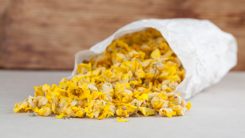 Where to Buy Mullein: Tea, Tinctures &Gummies Compared