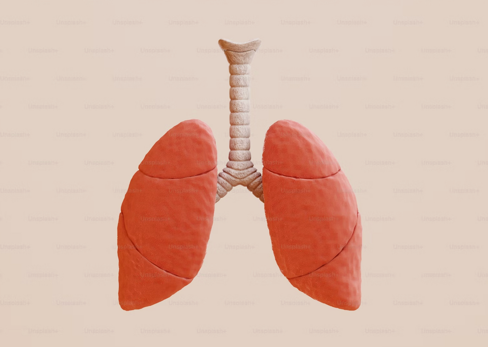 Are Zyns Bad for Your Lungs?