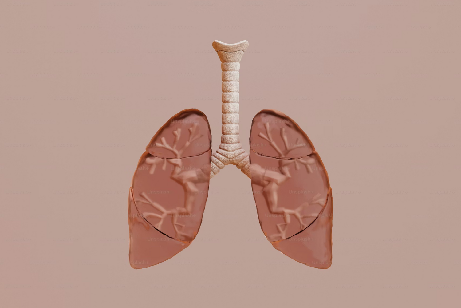 How Vapers Can Reset Their Lungs and Breathe Easier