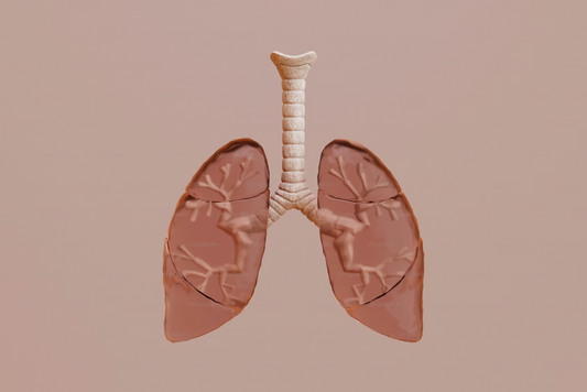 How Vapers Can Reset Their Lungs and Breathe Easier