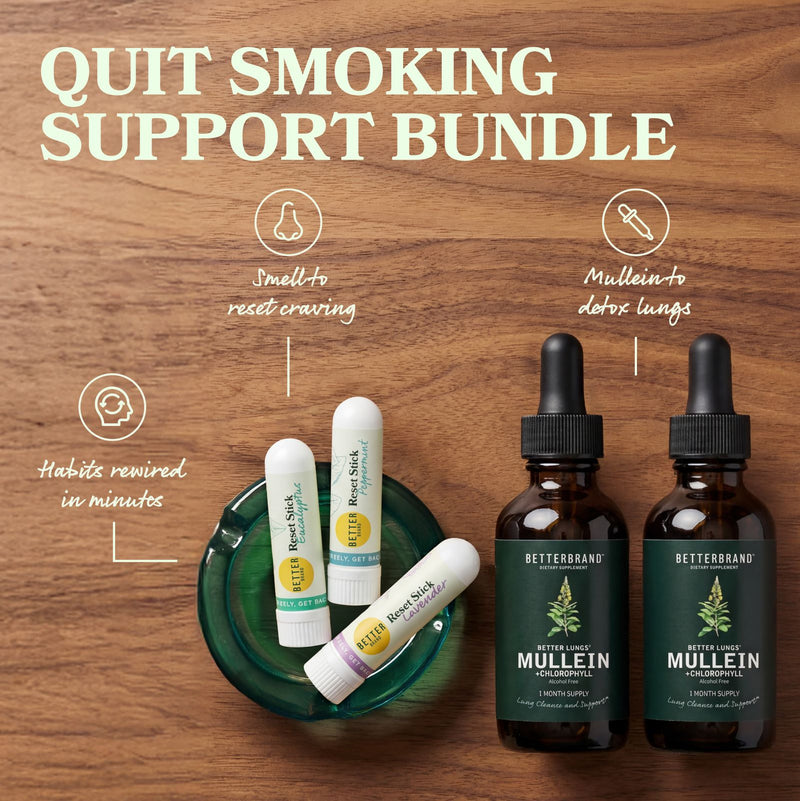 Which Betterbrand Bundle Offers the Best Value in 2026?