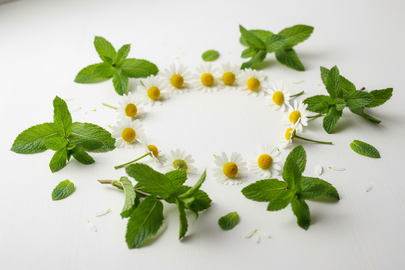Chamomile and Peppermint in a Liver Formula: What They Actually Do