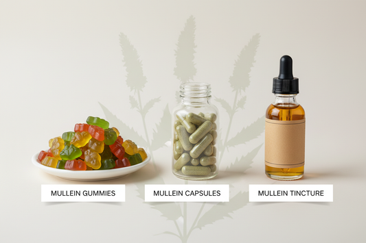 Mullein Gummies vs Capsules vs Tincture: A Complete Lung Supplements Comparison for 2025