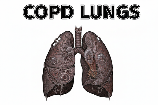 Natural COPD Support: A Complete Guide to Breathing Better Every Day