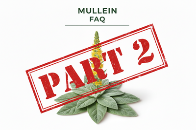 ACTUALIZACIÓN: Preguntas frecuentes sobre el gordolobo para los pulmones: nuevas preguntas respondidas por expertos