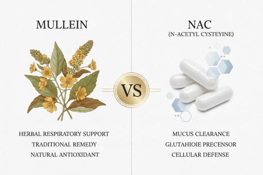 Mullein vs NAC: Which is Better for Lung Health?