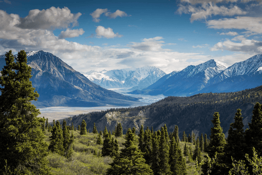 landscape with trees, hills, mountains, rivers, and blue skies filled with cumulus clouds