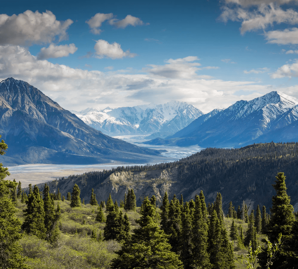 landscape with trees, hills, mountains, rivers, and blue skies filled with cumulus clouds