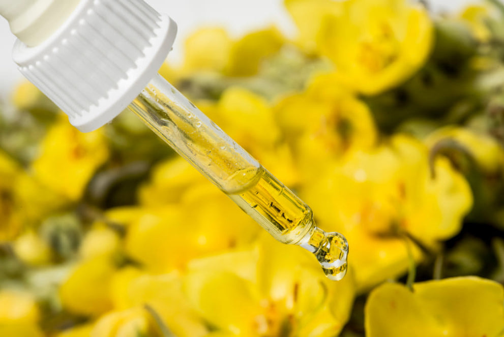 What’s the Best Form of Mullein Extract?