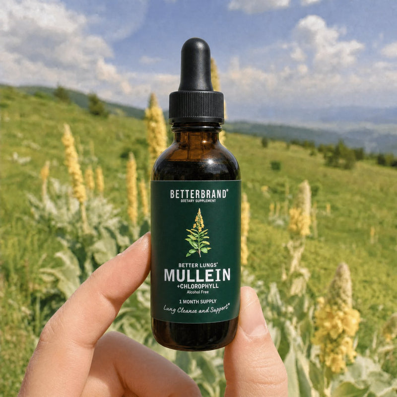 Best Mullein Tinctures for Travel: Portable Lung Support You Can Trust