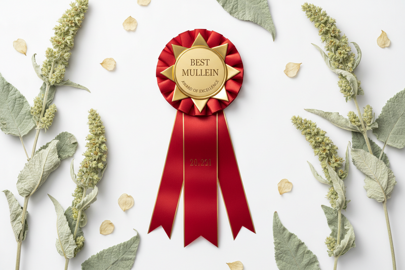 Betterbrand vs Toniiq: Which Mullein Supplement Offers More?