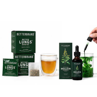 Mullein Tea vs Mullein Tincture: Which Should You Choose?