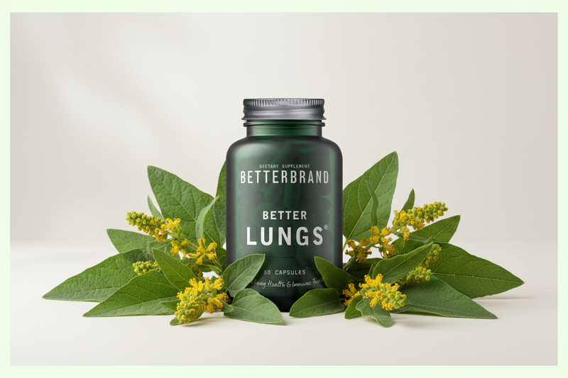 Los mejores suplementos de gordolobo para la salud pulmonar en 2026: una guía completa