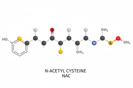 NAC for Lung Health: Your Complete Guide to N-Acetyl Cysteine and Respiratory Wellness