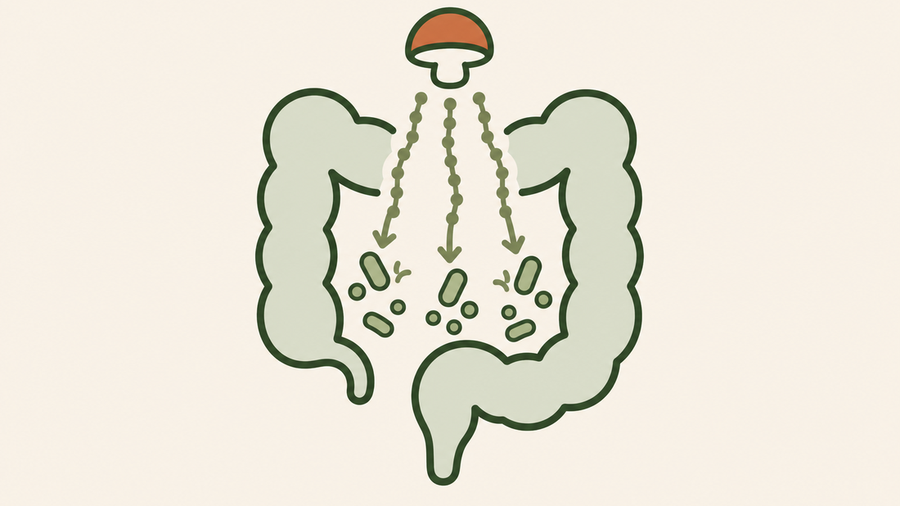 Microbiome is nourished
