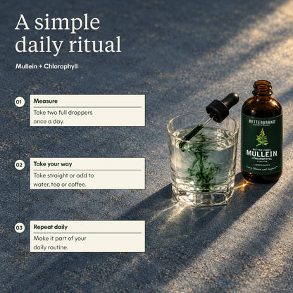 Quit Smoking Support Bundle