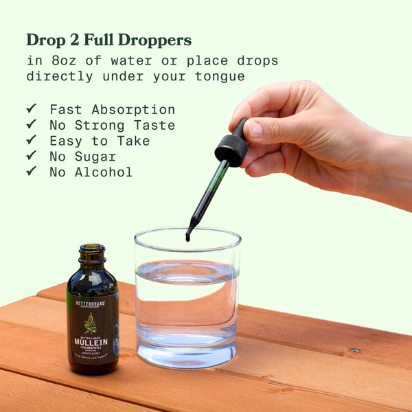 Hand holding dropper over glass of water next to Mullein Tincture bottle with usage instructions and benefits