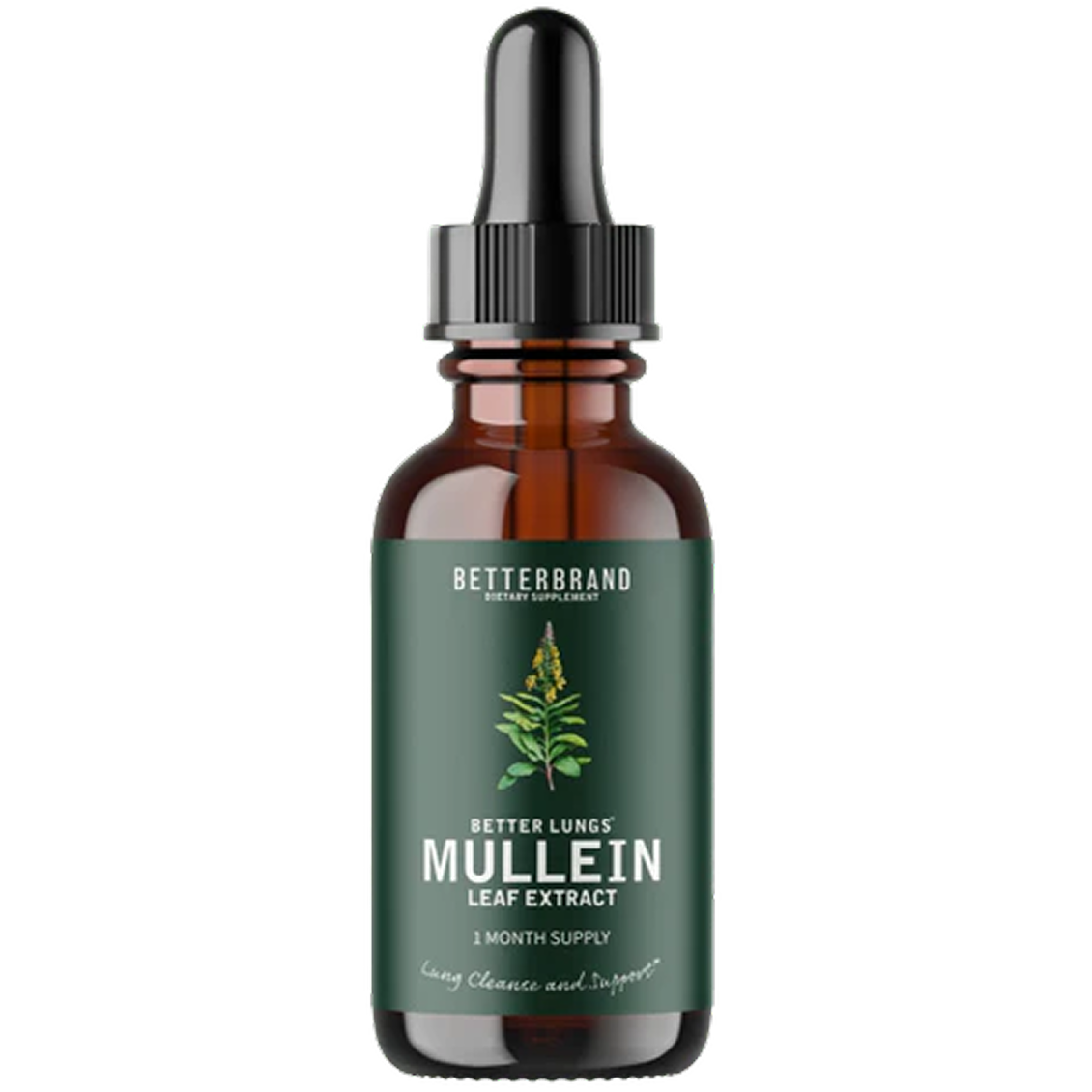 Front view of BetterLungs Mullein tincture bottle with dropper, green leaf label on white background