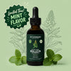 BetterLungs® Mullein + Chlorophyll Tincture (Mint Flavor)