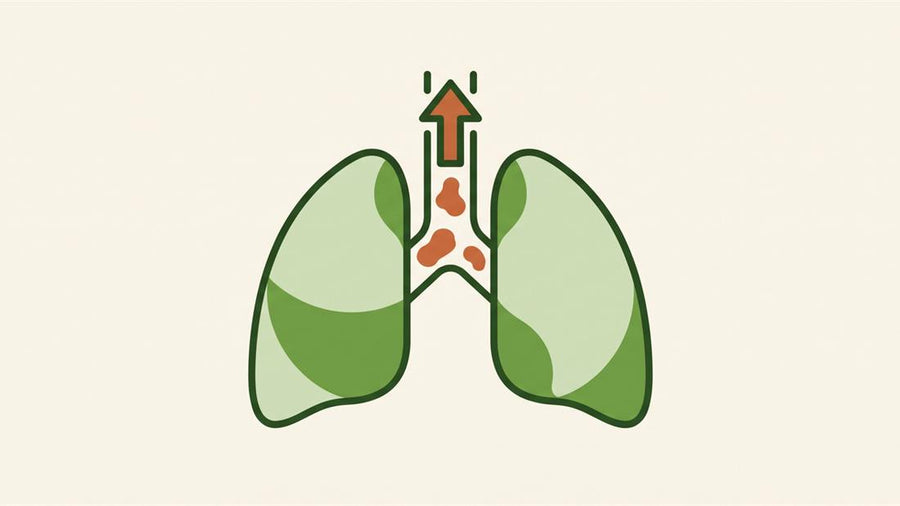 Your lungs cough it up