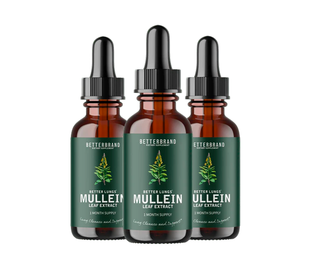 Front view of three BetterLungs Mullein and Chlorophyll tincture bottles with droppers and green labels on white background