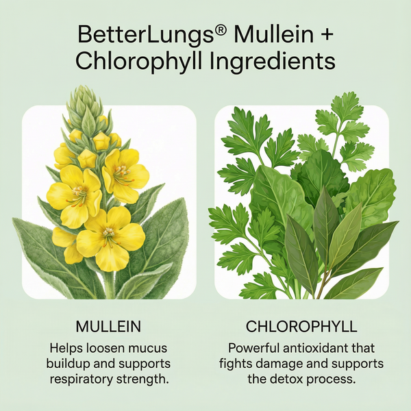 Quit Smoking Support Bundle