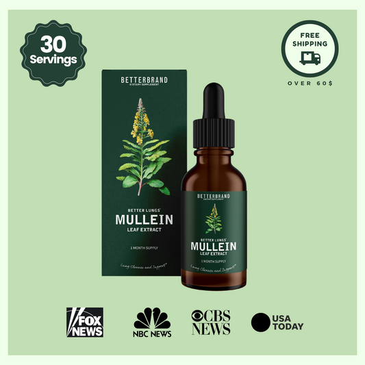 BetterLungs® Mullein Leaf Extract – Betterbrand