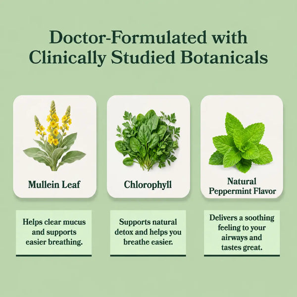BetterLungs® Mullein + Chlorophyll Tincture (Mint Flavor)