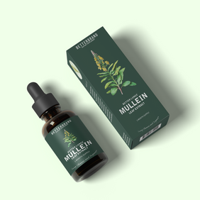 BetterLungs® Mullein Leaf Extract – Betterbrand Mullein Tincture