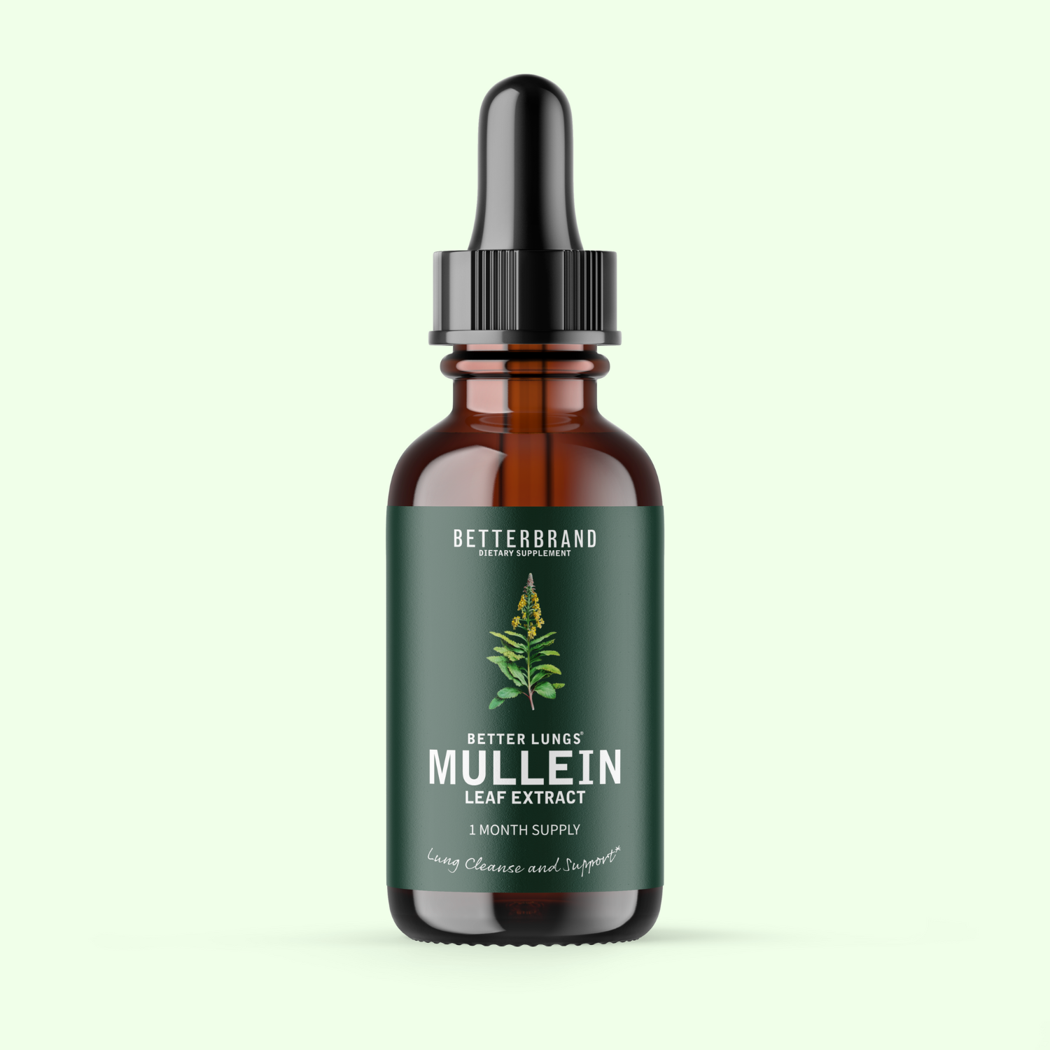 BetterLungs® Mullein Leaf Extract – Betterbrand - Mullein Drops