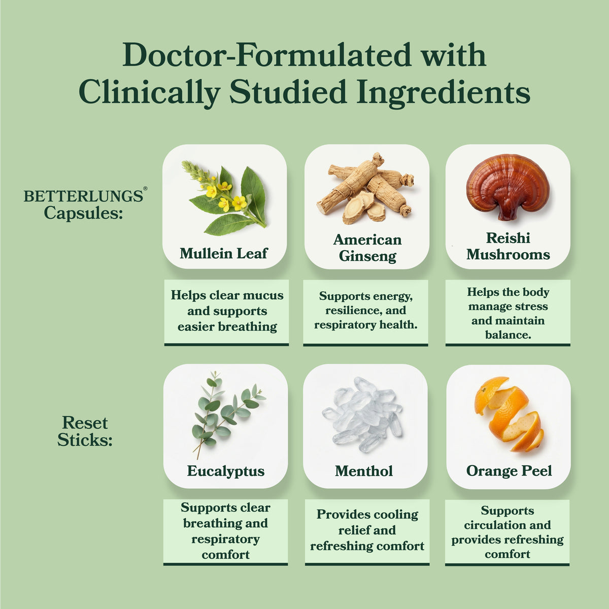 Allergy Relief Protocol